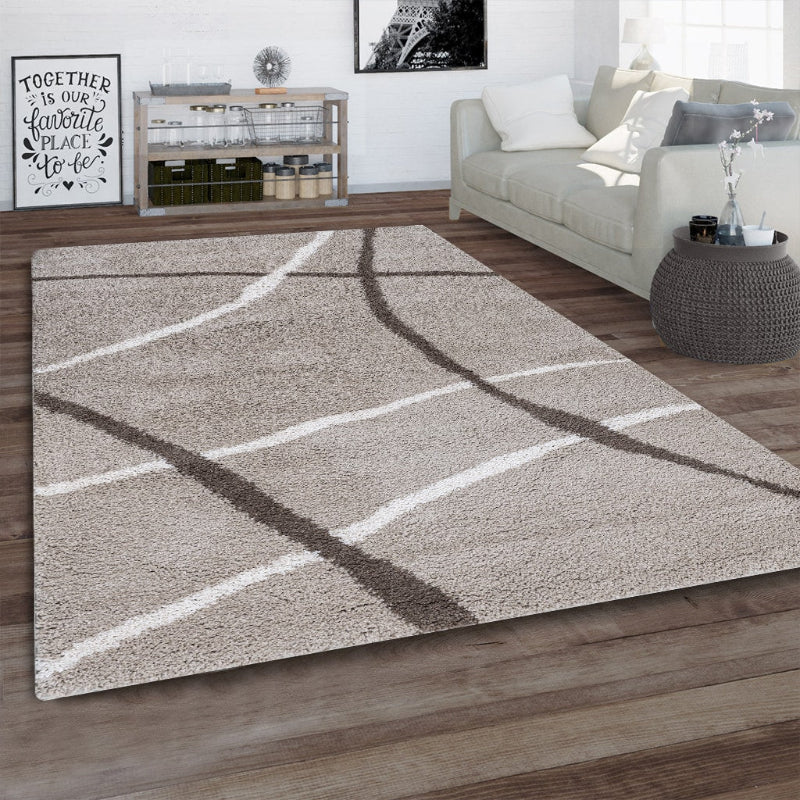Beige area rug with geometric pattern on wooden floor in living room