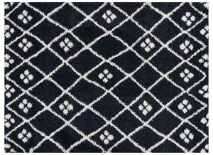Black and white geometric patterned rug