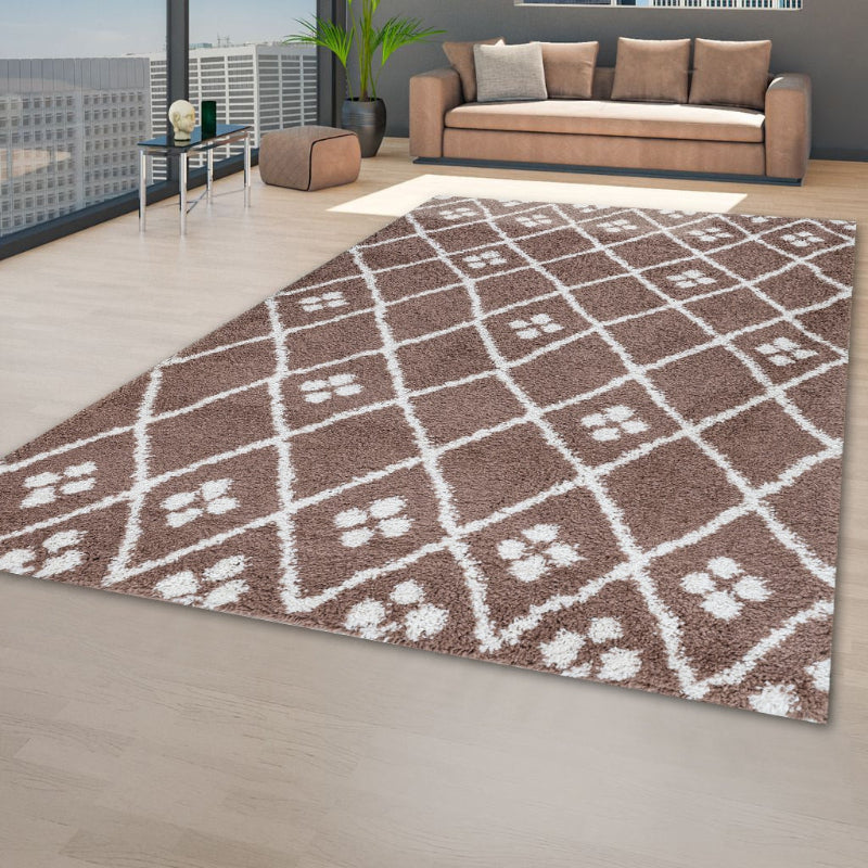 Patterned rug on a wooden floor with a modern living room in the background
