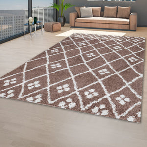 Patterned rug on a wooden floor with a modern living room in the background