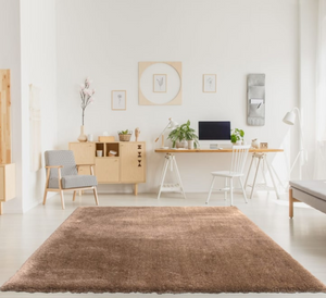 Modern home office with a brown rug, desk, and decor.