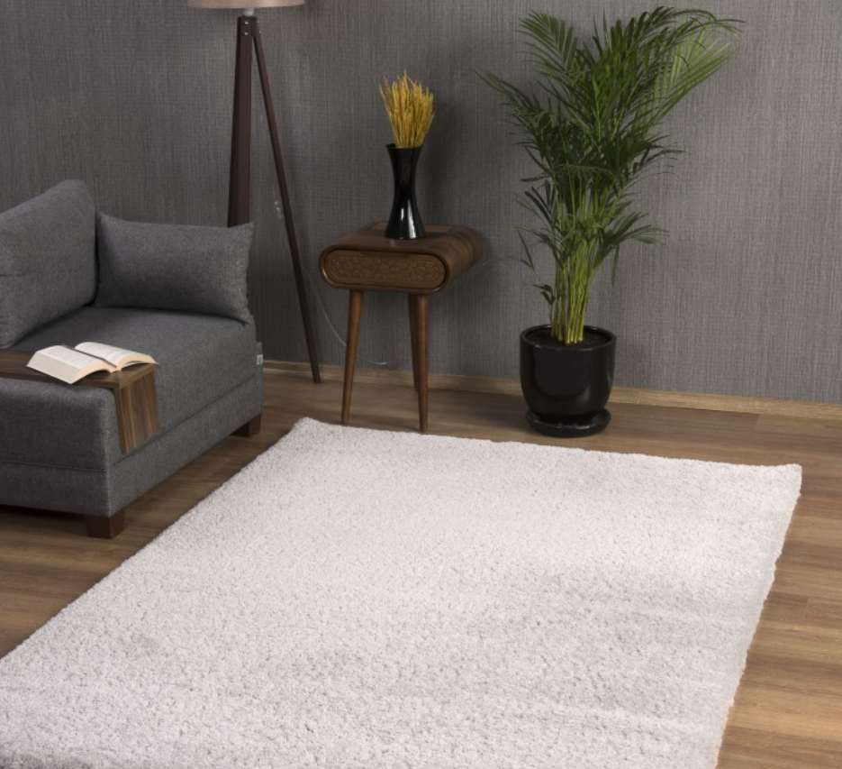 Living room with a gray sofa, white rug, wooden side table, and plant.