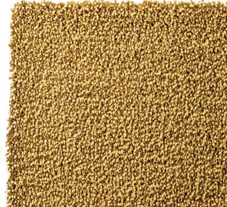 Kiss 800 Rug