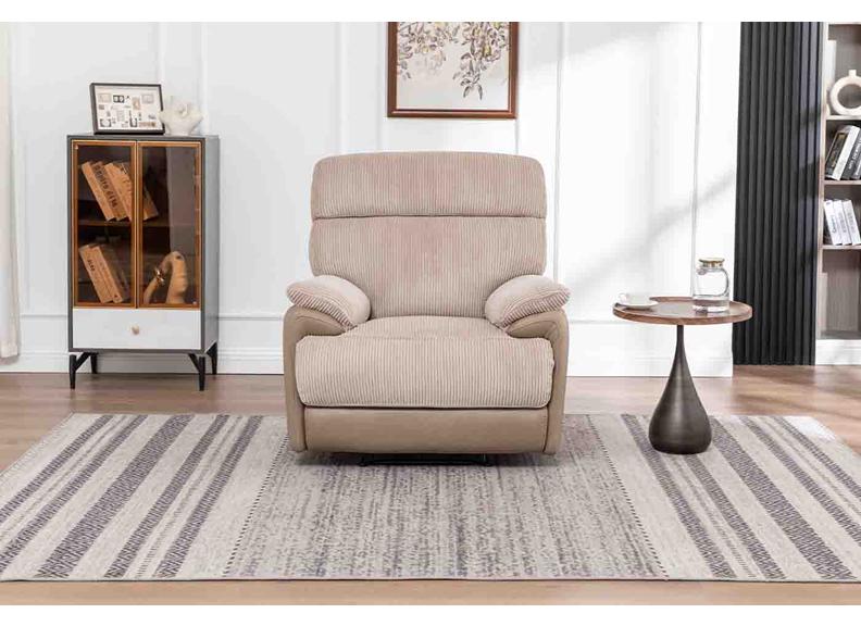 Arlington Electric Motion Reclining Sofa