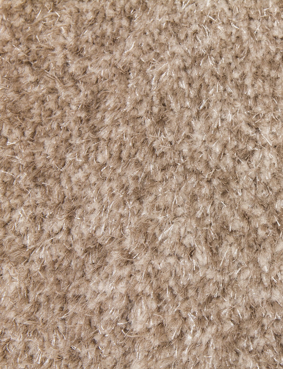 Plush Shaggy Beige Rug