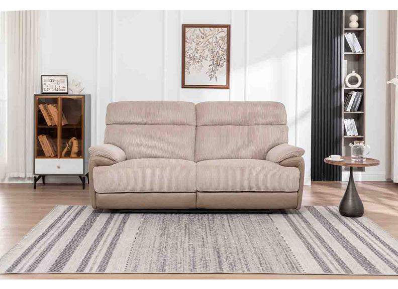 Arlington Electric Motion Reclining Sofa