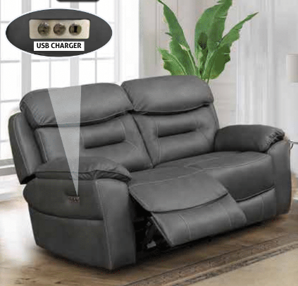 Leroy 2 seater electric